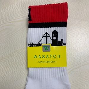 Spokane Skyline City Socks